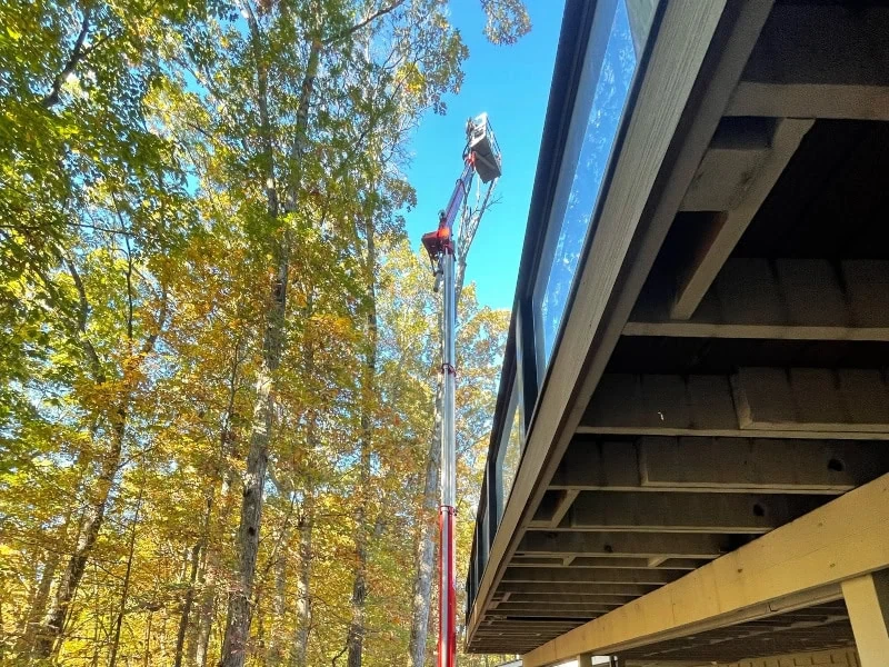 tree trimming services