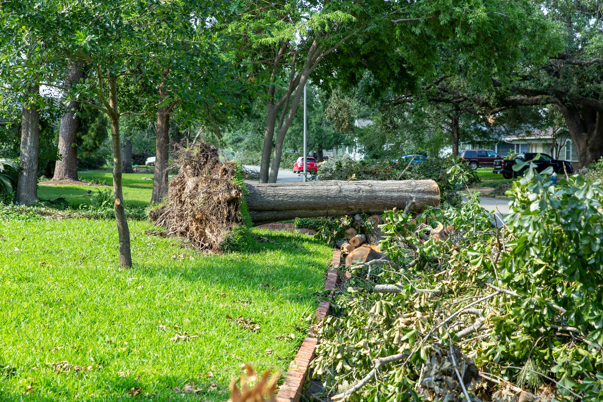 fallen-tree-in-a-yard; tree falls on your property; emergency tree removal