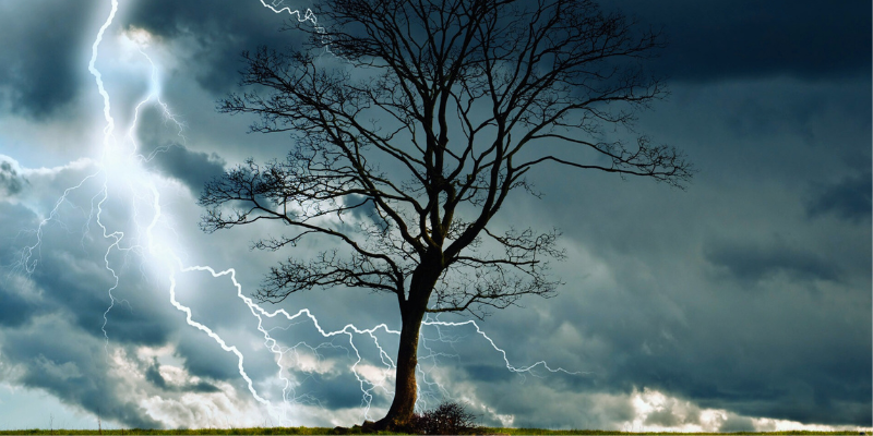 are your trees ready for storm season in Northwest Indiana?