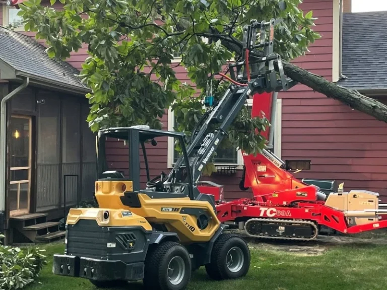 tree service; tree service near me; tree services; valparaiso