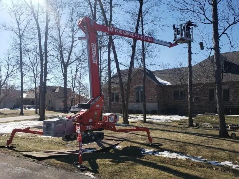 Tree trimming and pruning service in Valparaiso Indiana with cleanup
