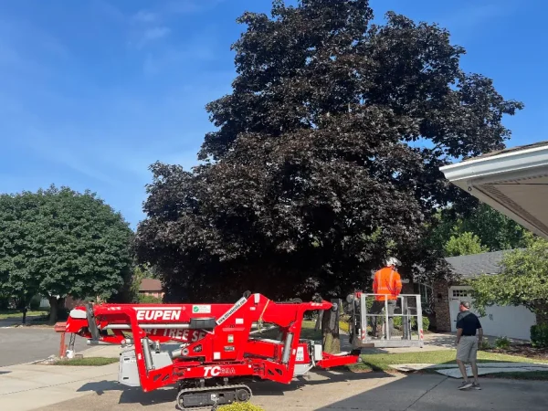 2025-09-16 23_27_02-T & T Tree Service - Google Maps - Vivaldi