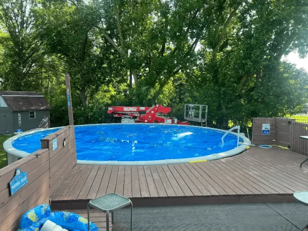 2025-09-16 23_27_34-T & T Tree Service - Google Maps - Vivaldi