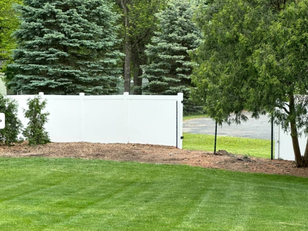 2025-09-16 23_40_03-T & T Tree Service - Google Maps - Vivaldi