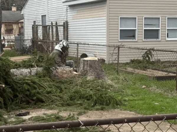 2025-09-16 23_52_48-T & T Tree Service - Google Maps - Vivaldi