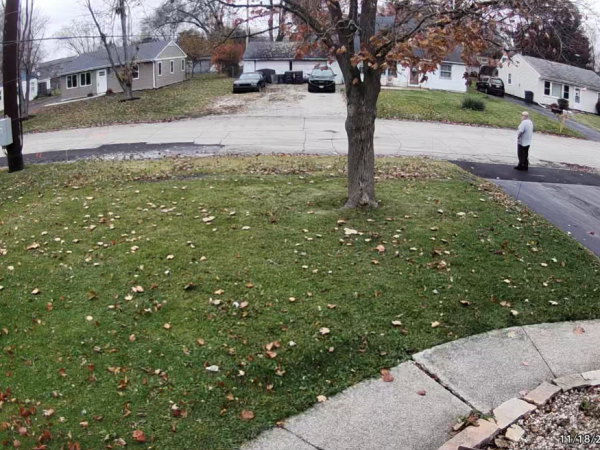 2025-12-09 04_36_29-T & T Tree Service - Google Maps - Vivaldi