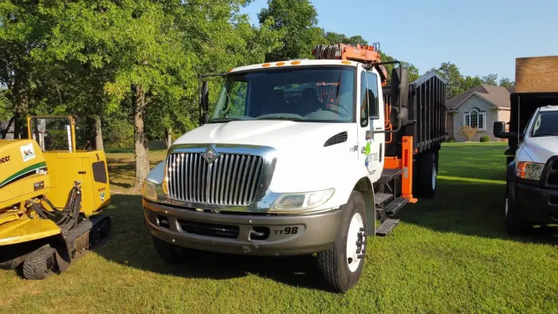 tree removal services; professional tree contractors