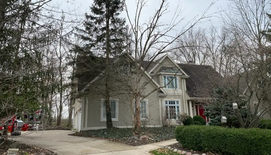 cutting down a tree, what do i need to know before cutting down a tree, cutting down trees