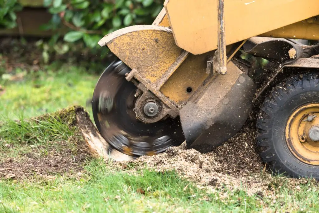 stump grinding; stump grinding in valparaiso, stump grinding, stump grinding near me, stump removal near me, stump removal