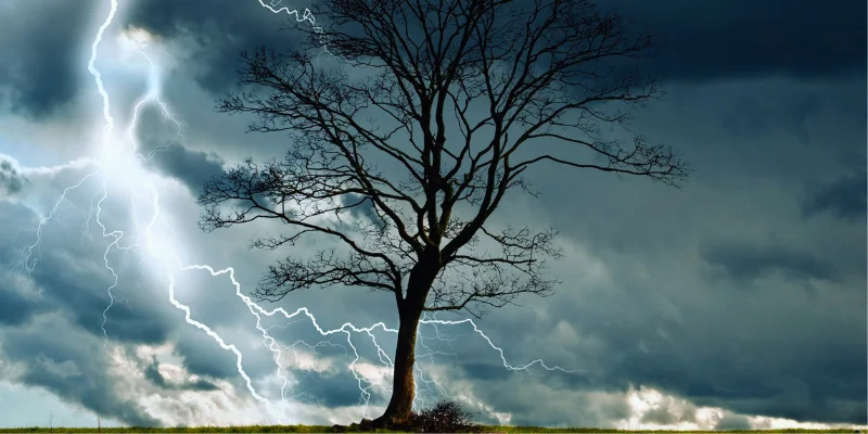 are your trees ready for storm season in Northwest Indiana?