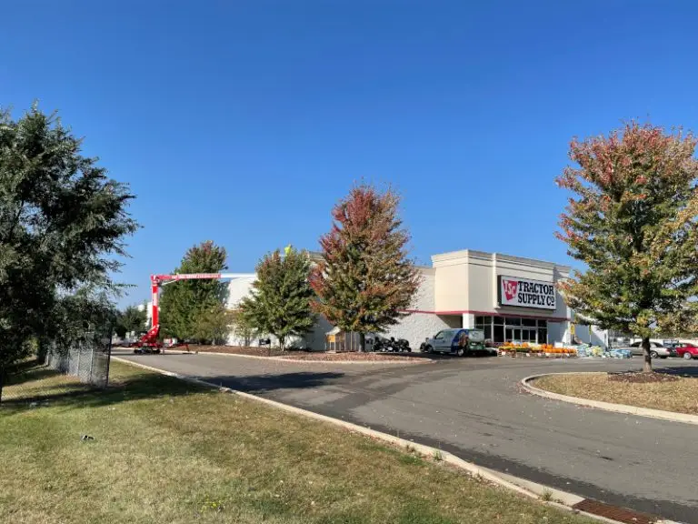 How long does tree removal take?